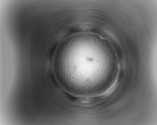 X0000099560182200805231519