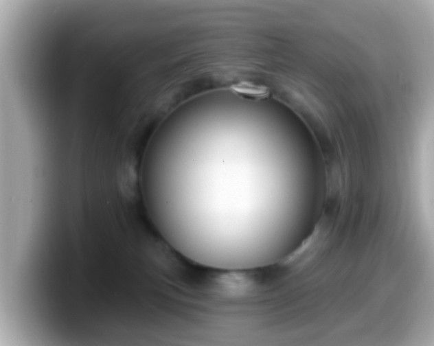 X0000099560183200805231519