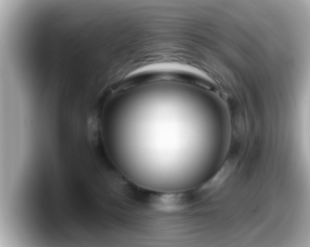 X0000099560184200805231519