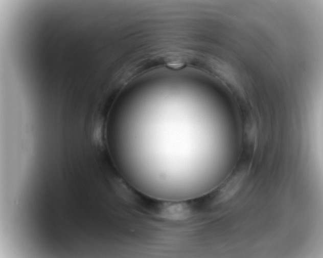 X0000099560185200805231519