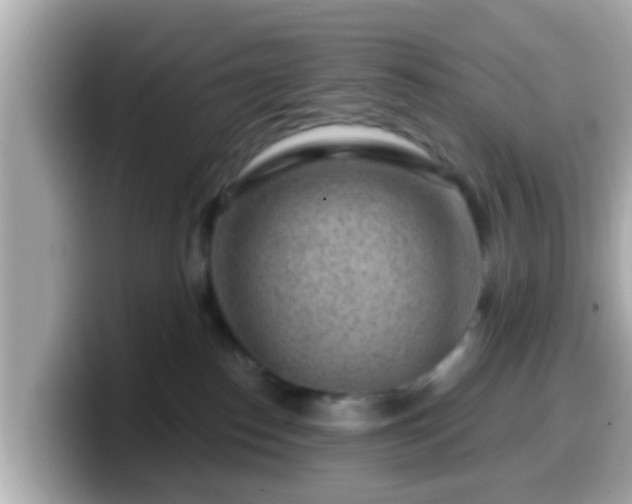 X0000099560186200805231519