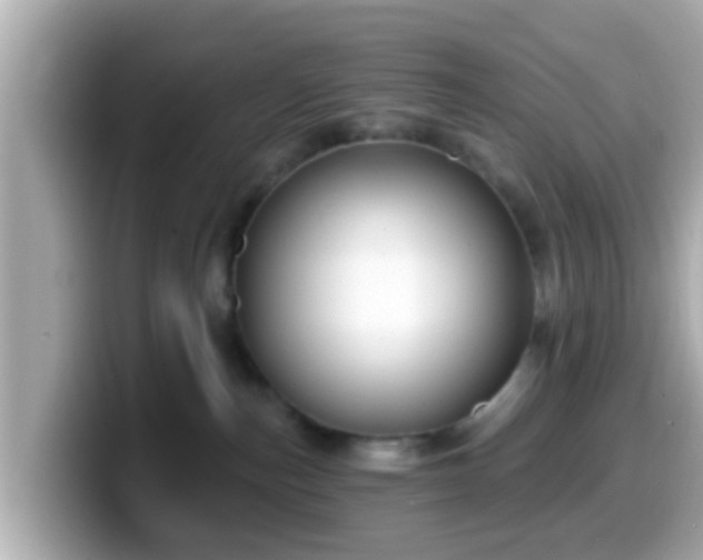 X0000099560187200805231519