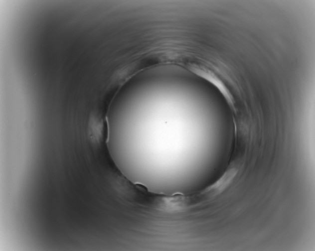 X0000099560188200805231519