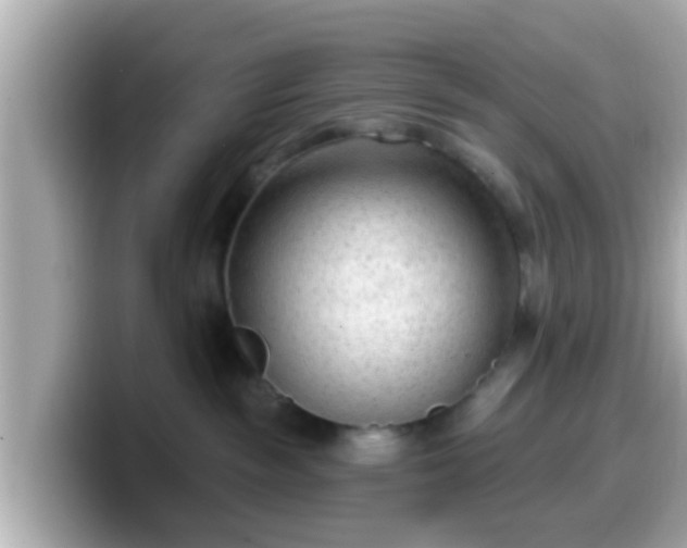 X0000099560189200805231519