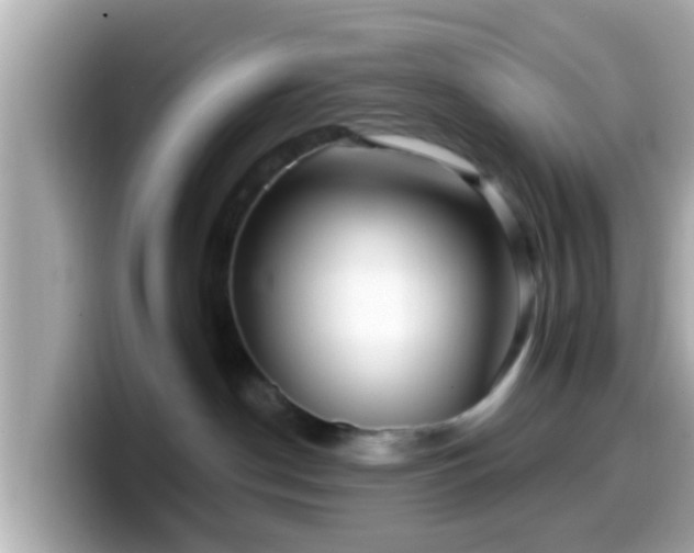 X0000099560190200805231519