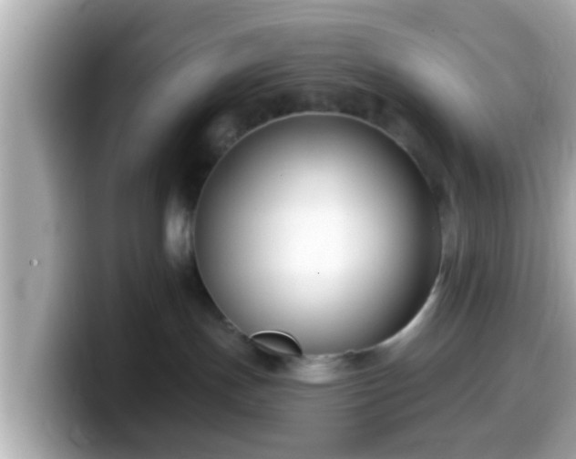 X0000099560191200805231519