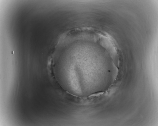 X0000099560192200805231519