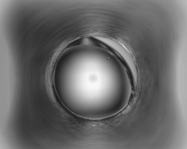 X0000099560193200805231519