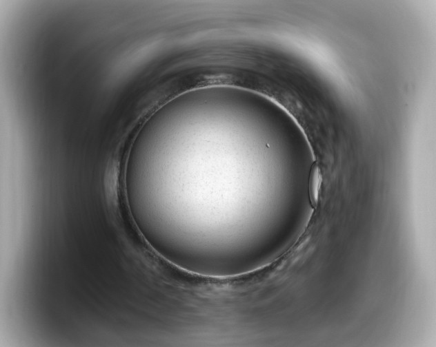 X0000099560194200805231519