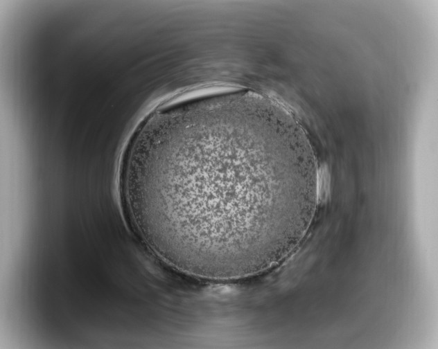 X0000099560195200805231519