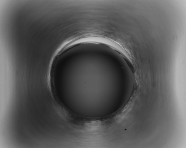 X0000099560196200805231519