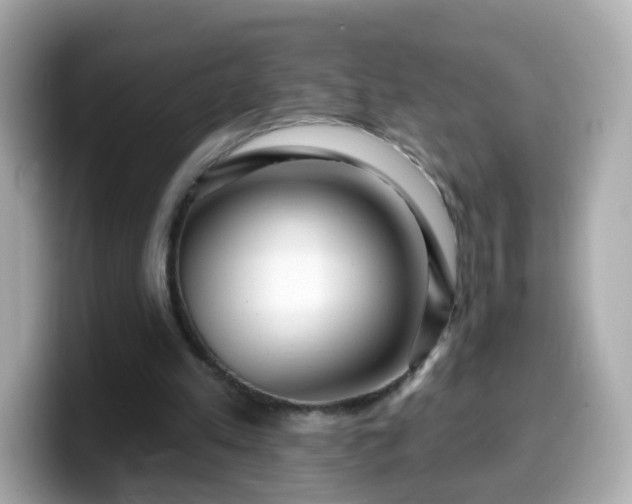 X0000099560197200805231519