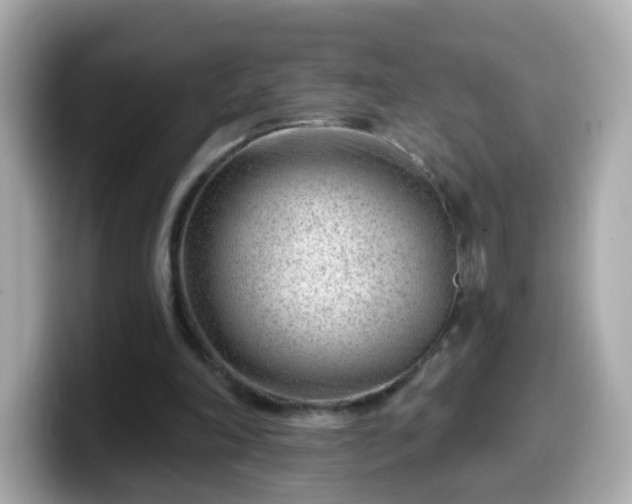 X0000099560198200805231519