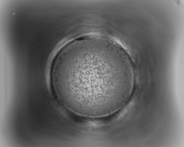 X0000099560199200805231519