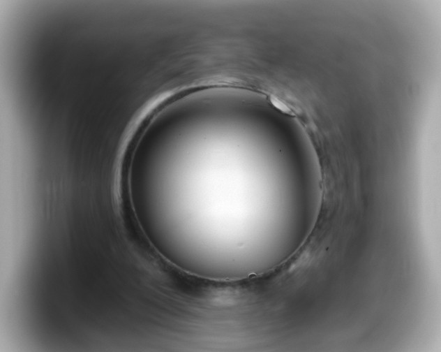 X0000099560200200805231519