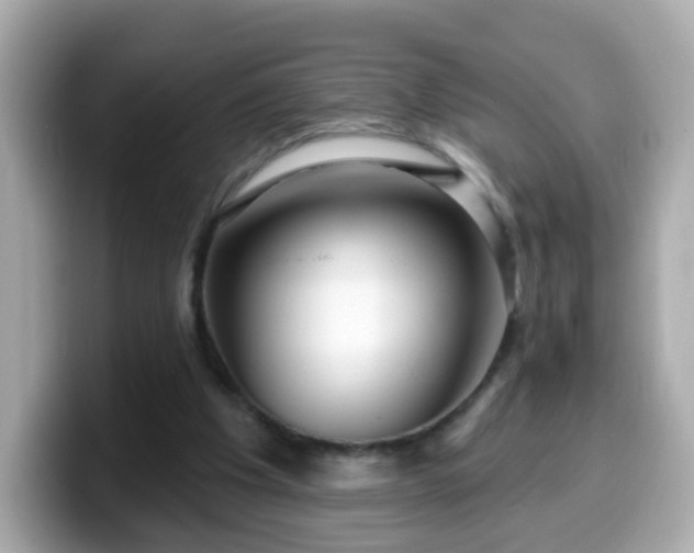 X0000099560201200805231519