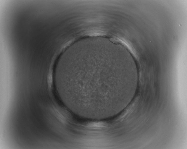 X0000099560202200805231519