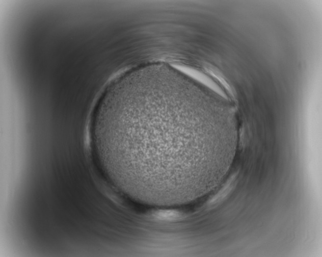 X0000099560203200805231519