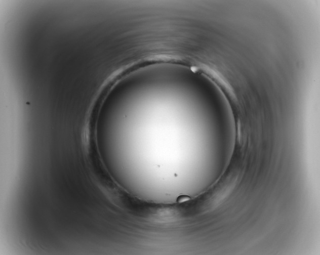 X0000099560204200805231519