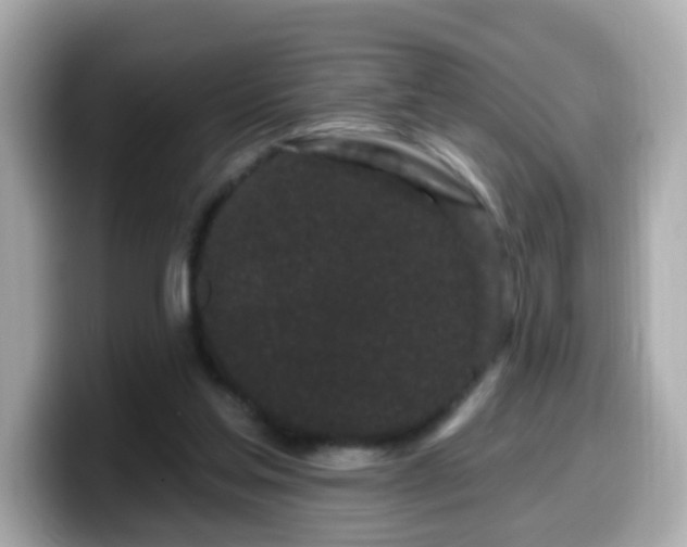 X0000099560205200805231518