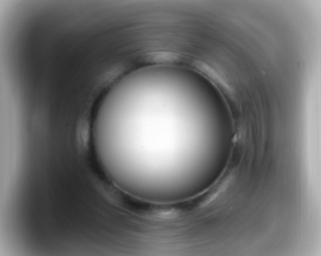 X0000099560206200805231518