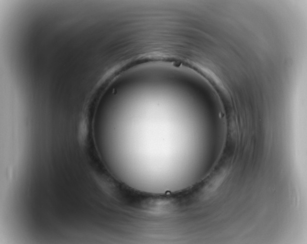 X0000099560208200805231518