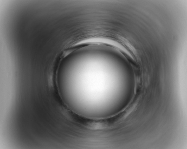 X0000099560209200805231518