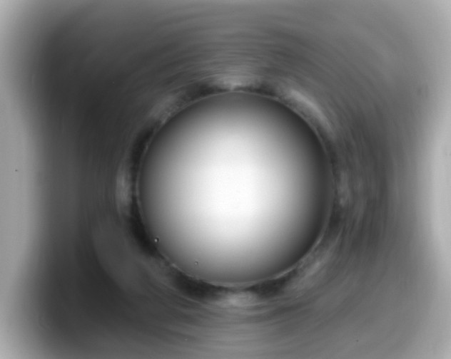 X0000099560210200805231518