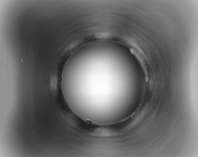 X0000099560211200805231518