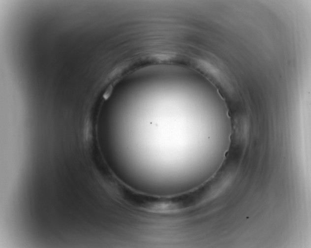 X0000099560212200805231518