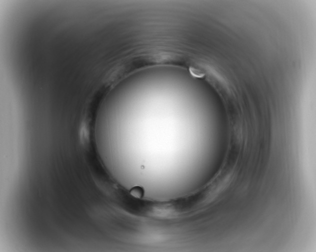 X0000099560214200805231518