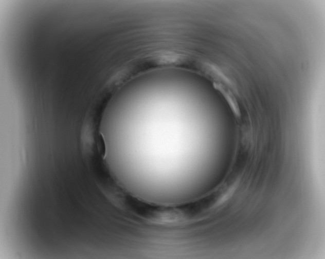 X0000099560215200805231518