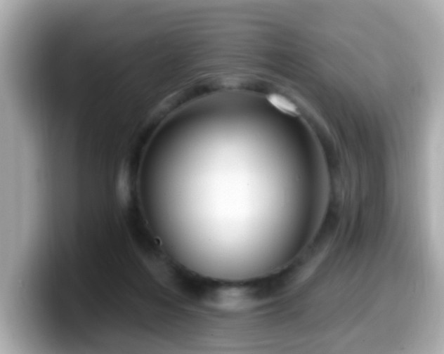 X0000099560216200805231518