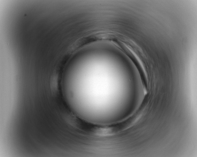 X0000099560217200805231518