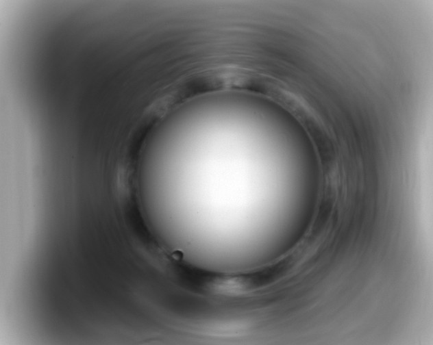 X0000099560218200805231518