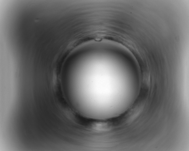 X0000099560220200805231518