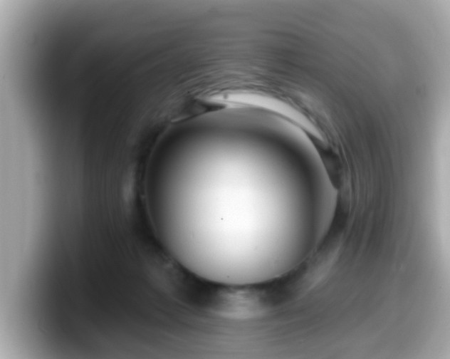 X0000099560221200805231518