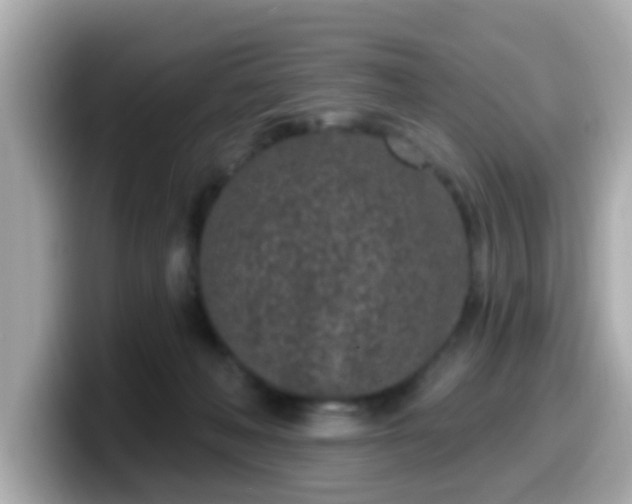 X0000099560222200805231518