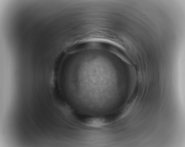 X0000099560223200805231518