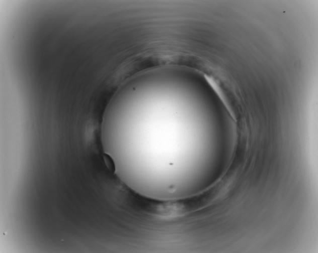 X0000099560225200805231518