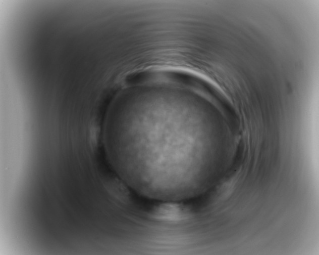 X0000099560227200805231518