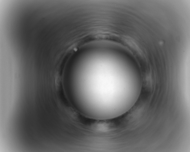 X0000099560228200805231518