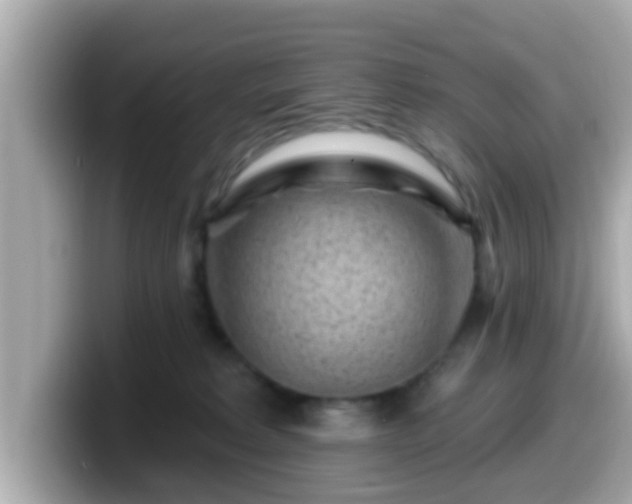 X0000099560229200805231518