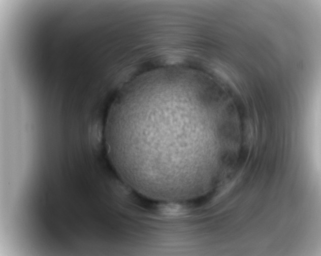 X0000099560230200805231518