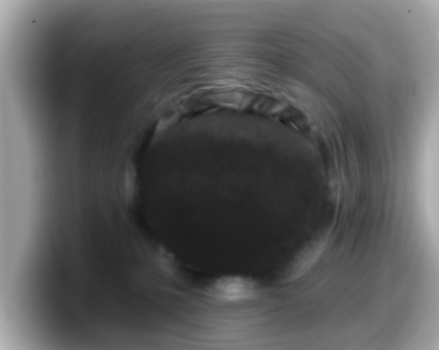 X0000099560231200805231518