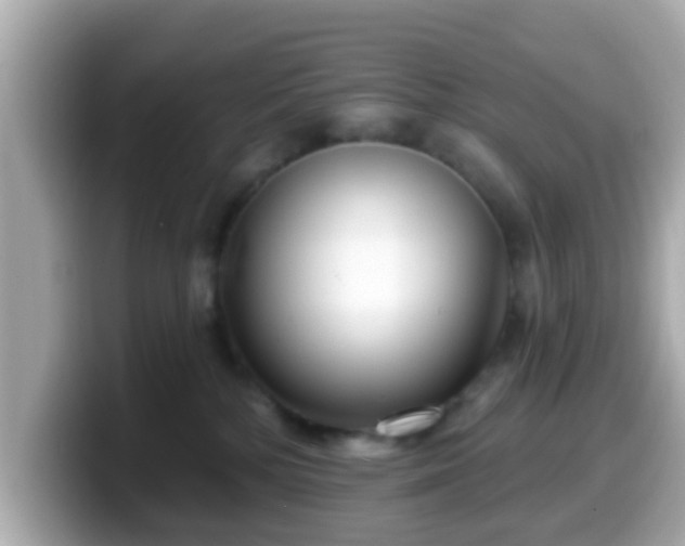 X0000099560232200805231518