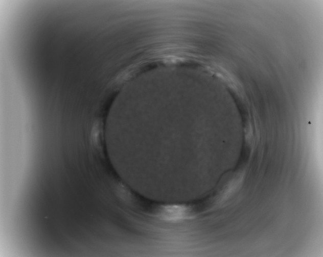 X0000099560233200805231518