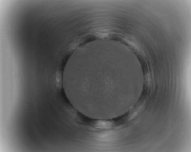 X0000099560234200805231518