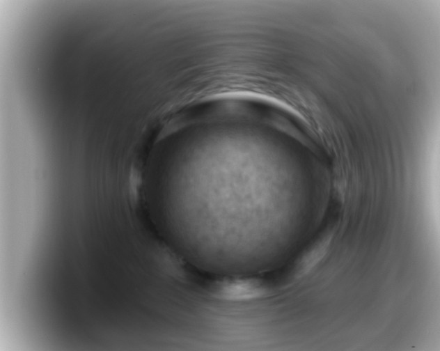 X0000099560235200805231518