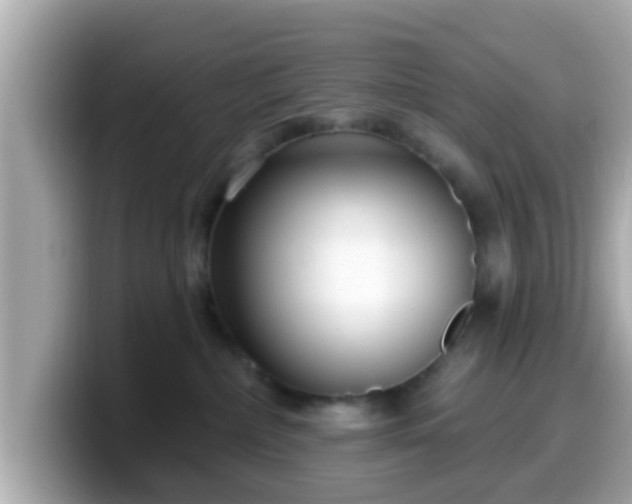 X0000099560236200805231518